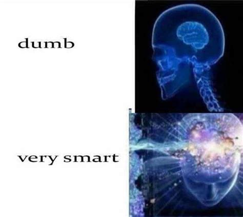 Smart vs dumb meme. Things To Know About Smart vs dumb meme. 