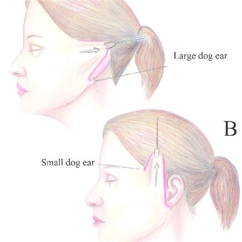 Smas D: D Burgers FriesMenu – Smash'D Burgers Fries image 1