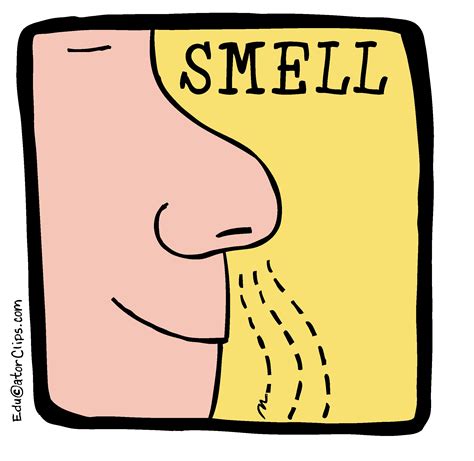 Smell Onlyfans Leak