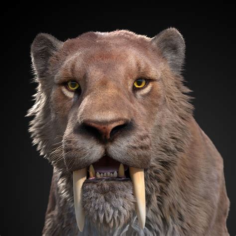 Smilodon Smilodons are large saber-toothed cats, apex predators that are significantly more muscular and broader than the other species of big cats. They often kill prey with a quick stab to the throat or other vulnerable spot. The smilodon’s oversized fangs are particularly sought after as trophies. Recall Knowledge - Animal : DC 22 . 