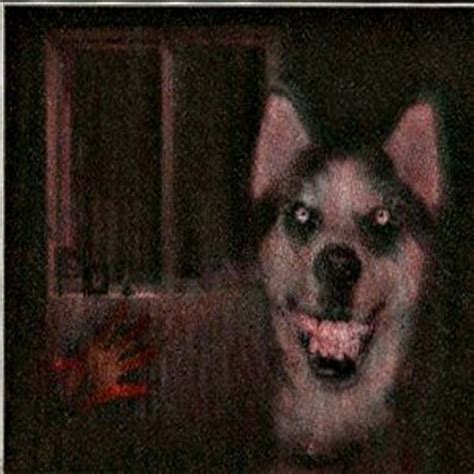 Smile Dog Creepypasta Files Wikia Fandom