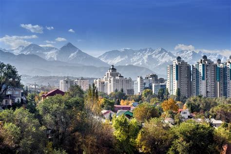 Smith Adams  Almaty