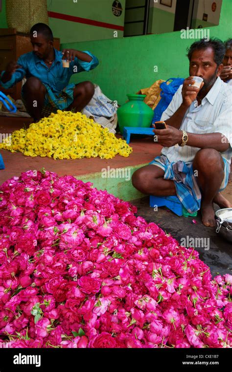 Smith Flores Photo Madurai