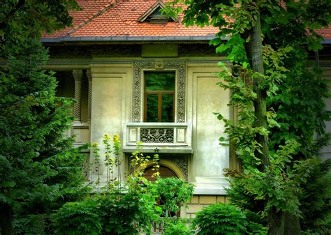 Smith Green Photo Bucharest