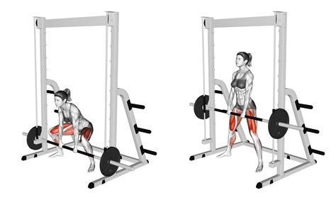 Smith Machine Deadlift Your Effective HowTo Guide