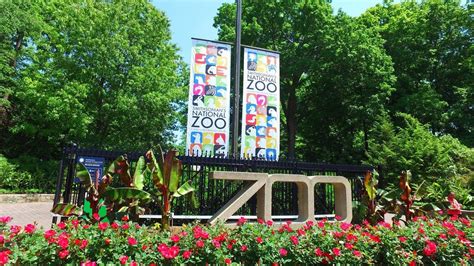 Hotels near Smithsonian’s National Zoo & Conservation Biology Institute. Check In. — / — / —. Check Out. — / — / —. Guests. 1 room, 2 adults, 0 children. 3001 Connecticut Ave NW, Washington DC, DC 20008-2537. Read Reviews of Smithsonian’s National Zoo & Conservation Biology Institute..
