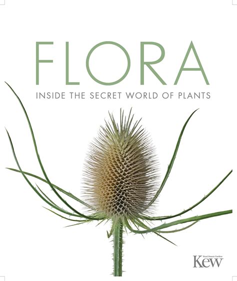 Download Smithsonian Flora The Definitive Visual Guide To The Plant Kingdom By Dk Publishing