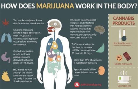 Smoke pot masturbate.  Can Cannabis Really Affect Your Despite increasi...
