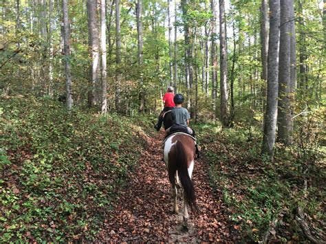 Smokemont riding stables. Come see why we’re a five star stable! What better way to see the Great Smoky Mountains beautiful waterfalls than by horseback?! Come see why we’re a five star stable! 
