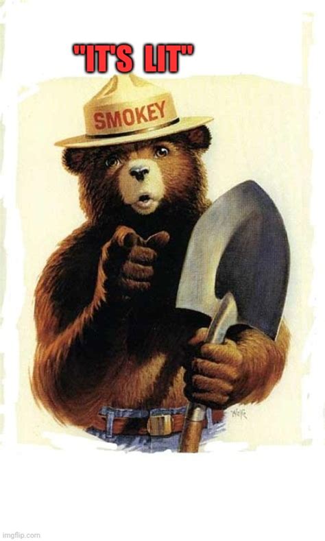 Smokey the bear meme. Things To Know About Smokey the bear meme. 