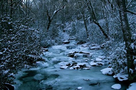 Smoky mountains winter. Unlike other cold-blooded animals like reptiles or frogs, salamanders are active and awake during winter. ... There are 30 salamander species present in the Great Smoky Mountains National Park. 
