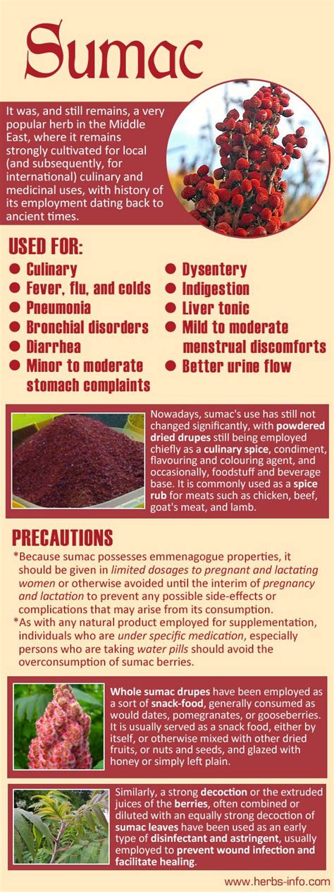 Sumac as a medicinal plant Sumac has beenapplied as a medicinal plant or a spice for hundreds of years. It contains a wide range ... Smooth sumac, and Upland sumach. Identified metabolites of .... 