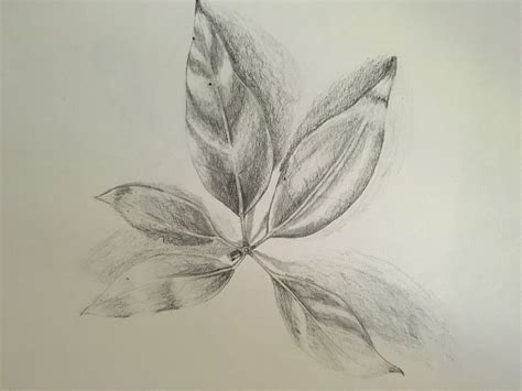 Smudging Drawing