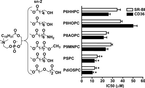 Sn 1 position of phospholipids. .  <a href=https://zipprice.ru/vy9de/goth-fuck-v...