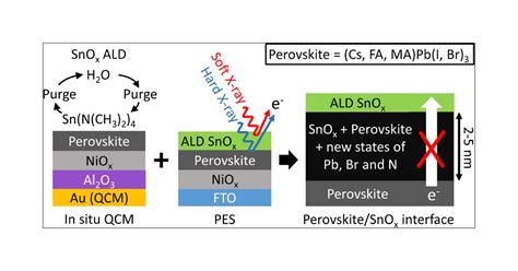 SnOx Atomic Layer Deposition on Bare Perovskite—An Investigation of