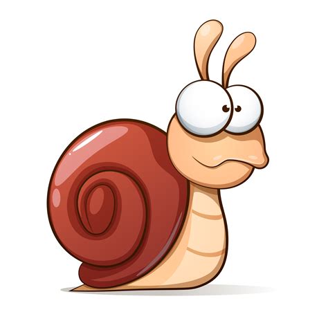 Snail Cartoon Drawing