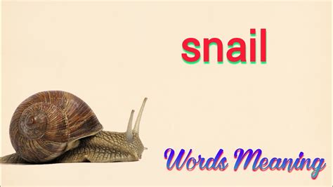 Snail in hindi.  Meaning of Snail in Hindi language with definitions, example...