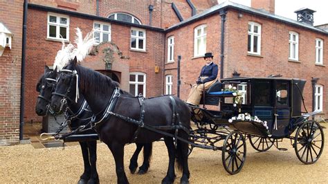 Snailriver Horse Drawn Carriage Co