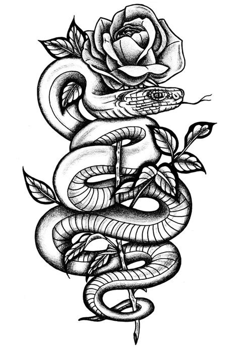 Snake And Rose Tattoo Drawing