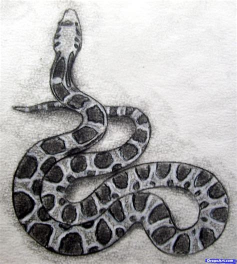 Snake Pencil Drawing