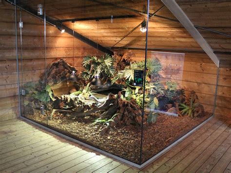 Snake Terrariums And Tanks: How To Choose The …