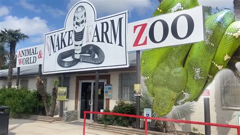 Explore the amazing Animal World and Snake Farm in New Braunfels - a captivating experience for animal lovers. ... 5640 S Interstate 35 • New Braunfels, TX 78132 .... 