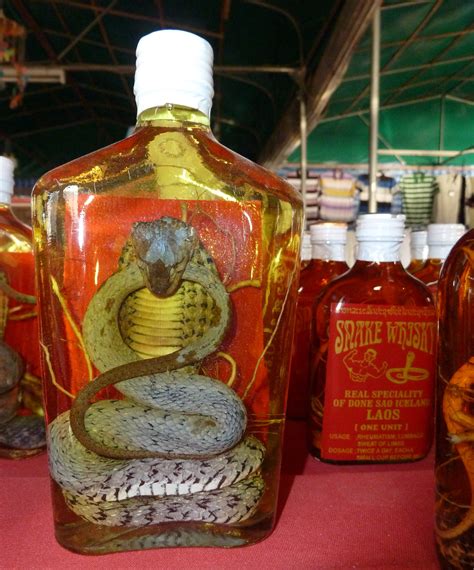 Snake liquor. Jan 31, 2021 · As such, Snake liquor is a fairly common alcoholic drink in Southeast Asia and Vietnam. Snakes, preferably poisonous, are generally not preserved for their meat, but for their venom which is dissolved in liquor; however, snake venom is denatured by ethanol, its proteins are unfolded and therefore inactivated. 