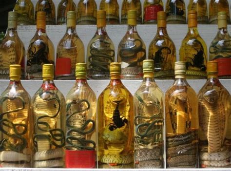 Snake tequila. In this video we are in Tijuana, Baja California, Mexico, and we are drinking Rattlesnake Tequila at the Restaurante El Museo. The Restaurante El Museo in a ... 