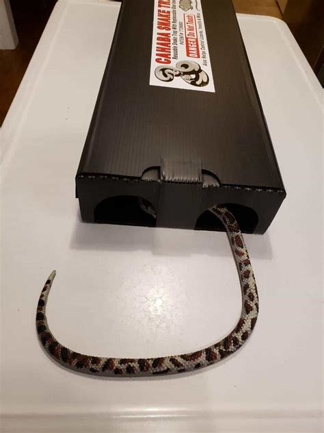Snake trap lowes. Product Details. The Harris Super-Size Snake Glue Trap is a great way to trap snakes. The low environmental impact of glue traps allows usage in a wide variety of settings where poisons … 