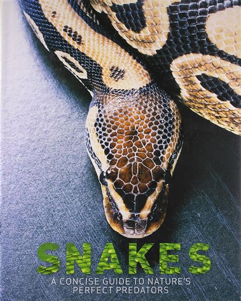 Snakes a concise guide to nature perfect predators. - Restablecimiento de fábrica rca cambio windows 10.