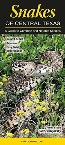Snakes of central texas a guide to common notable species quick reference guides. - Der fremde fötzel, oder, die wahl in den grossen rat.