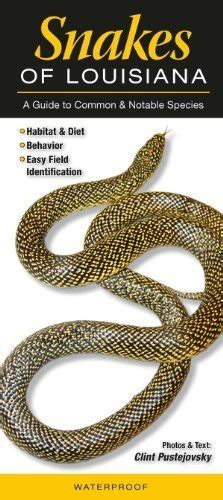 Snakes of louisiana a guide to common and notable species. - Manuale di installazione della scala mobile schindler.