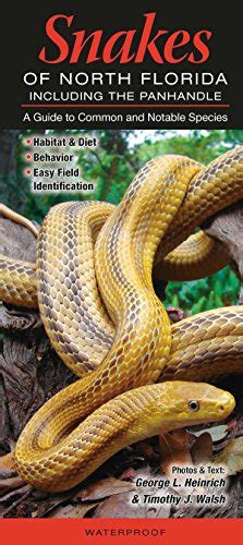 Snakes of northern florida including the panhandle a guide to common notable species. - Bilan et perspectives des études médiévales (1993-1998).