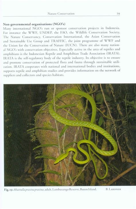 Snakes of sulawesi a field guide to the land snakes of sulawesi with identification keys. - Hp pavilion dv7 3160us service handbuch.