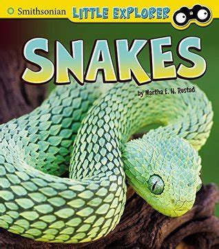 Download Snakes Little Scientist By Martha Eh Rustad