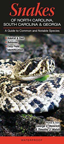 Download Snakes Of North Carolina South Carolina  Georgia A Guide To Common  Notable Species By George L Heinrich