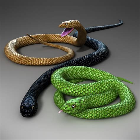 Snakes3d