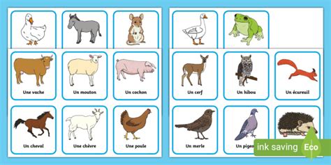 Snap Cards in French