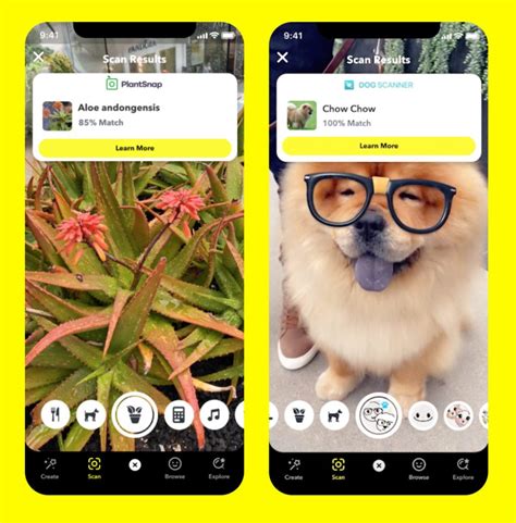 Snap announced new partnerships on Thursday with the apps Dog Sca