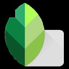 Snapseed Mod Apk v2 20 0 527643230 Android Free Download
