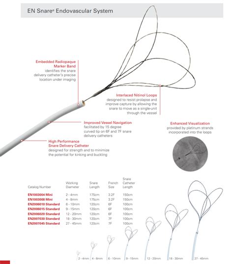 Snares - Endovascular Today