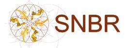 Snbr. Things To Know About Snbr. 