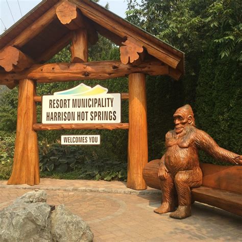 Sneaky sasquatch hot springs. Things To Know About Sneaky sasquatch hot springs. 
