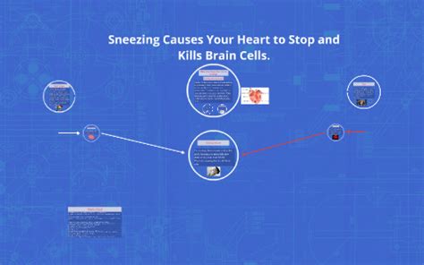 Sneezing and Brain Cells