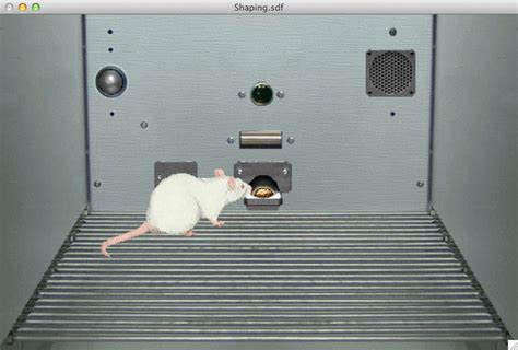 Download Sniffy for macOS 10.13 or later and enjoy it on your Mac. ‎Sniffy is an interactive simulation of a rat in and Operant Conditioning Chamber. Students in Psychology can use Sniffy to simulate experiments in Operant and Classical Conditioning. 