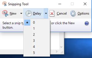 Snips and Screenshots Computer Applications for Managers