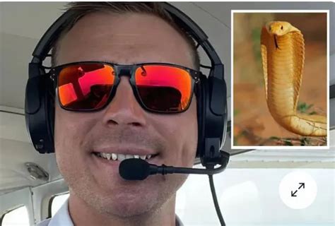 Snnaaake! S. African pilot finds deadly cobra under his seat while inflight