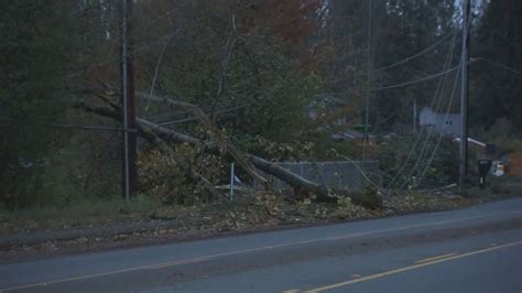As of Monday evening, there are still 2,929 people without power in Snohomish County. In a Mountlake Terrace neighborhood, a tree fell onto power lines and caused the lights to go out for hundreds .... 