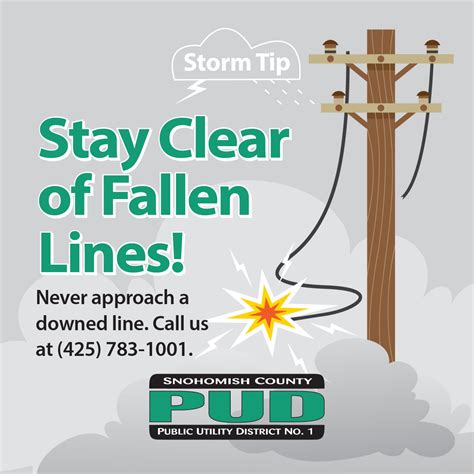 Report an outage: Call (206) 684-3000. You will need your City Light account number or the phone number associated with your account. Report a downed power line: Call 911 and stay at least 30 feet away. Report a streetlight issue: Complete the form on our Streetlight Maintenance page. When the occasional outage occurs, we’re here to help you .... 