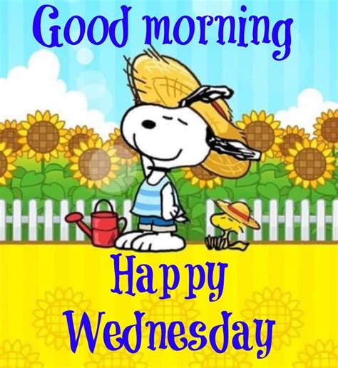 Snoopy good morning wednesday. Jun 25, 2022 - Sun & clouds & chilly at 49degrees, by the time it warms up enough, it is warm, it seems to be late afternoon. Spring is so interesting in New England... 